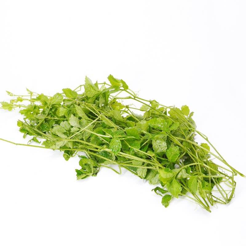 五叶神新鲜五叶参蔬菜野菜农家乐庄煲汤食用特色食材福音草七叶参