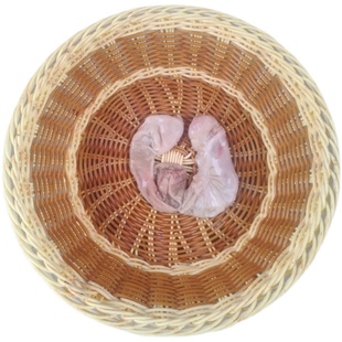 新鲜兔肚兔胃现杀兔肉兔子胃生鲜食材可商用新鲜兔肉真空冷冻兔肚