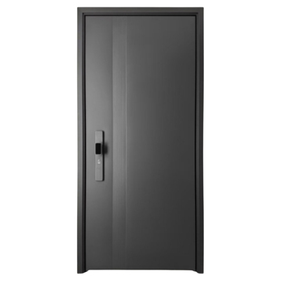 2025新款入户门简约青春款钢制防盗门甲级家用智能进户门子母门