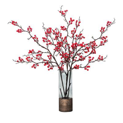 小红书博主超推的红果果