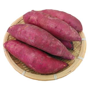 高标准东北雪山红薯5斤黄金蜜薯康平地瓜日本玛莎莉新鲜番薯山芋