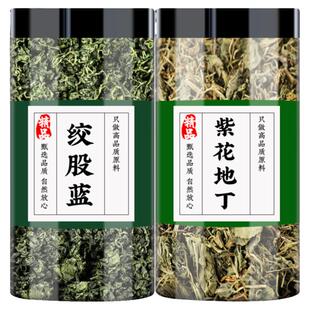 绞股蓝紫花地丁茶中药材新鲜紫花地丁犁头草正品泡水的功效与作用