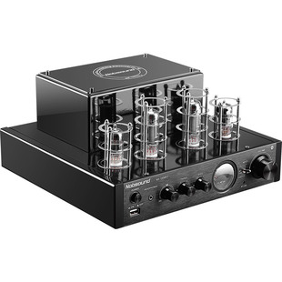 Nobsound/诺普声MS-10D发烧电子管大功率 蓝牙hifi胆机功放机耳放