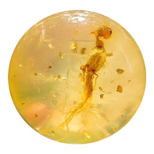 正品韩国FU金箔苦参除螨皂去螨人参洁面洗澡沐浴香皂肥皂女洗脸皂