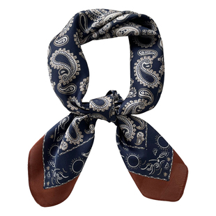 好看的 小丝巾 韩国ins款百搭时尚春秋装饰方巾绑发绑包薄款围巾