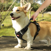 狗狗背心式 牵引绳遛狗绳泰迪柯基中型小型犬宠物防爆冲外出胸背带