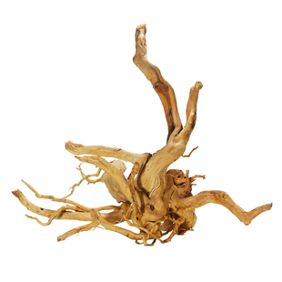 沉木造景木鱼缸装饰天然树根杜鹃根鱼缸水族箱造景小沉木枝条栖根