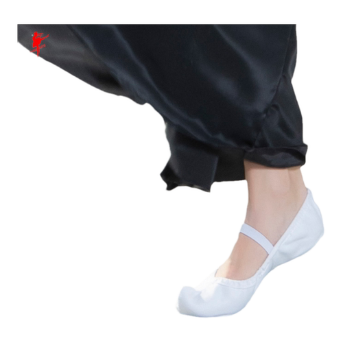 红舞鞋朝鲜族传统舞蹈鞋女软底勾勾鞋白色古典舞鞋练功鞋10053