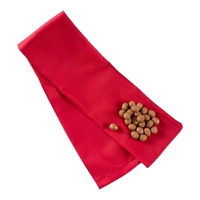 经络拍打甩背袋按摩捶筋甩后背