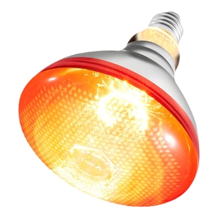 公牛保温灯养殖场专用宠物取暖鹦鹉小鸡育雏饲养箱烤灯加热电灯泡