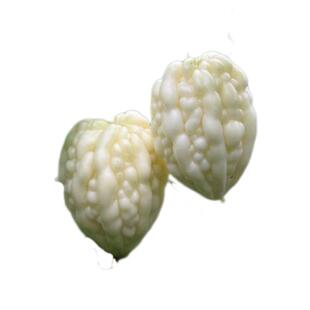 蔬果生吃不苦甘甜水果播台湾苹果苦瓜种子白苦瓜种籽四季孑春夏秋