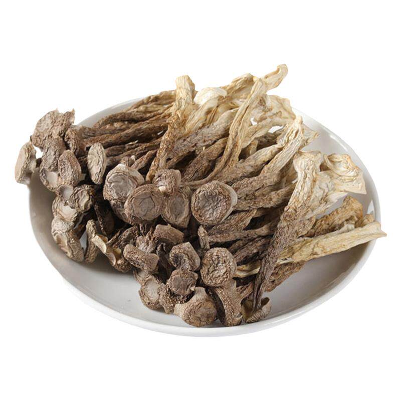 【新货】鹿茸菇碎干货鹿茸菌脆