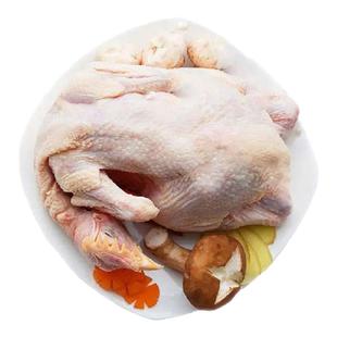 天玛生态沙漠土鸡童子鸡生鲜冷冻整只鸡赠料包500g/袋