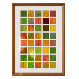 秋天落叶标本相框48宫格创意树叶手工diy捡秋制作装饰画框收集