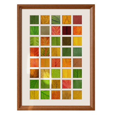 秋天落叶标本相框48宫格创意