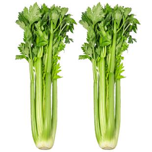 美邻惠享家新鲜西芹小棵半叶芹菜榨汁专用山东蔬菜