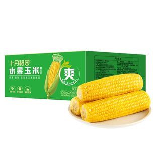 【十月稻田】水果玉米220g*8根