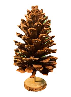 自然摆台森系客厅巨大特大