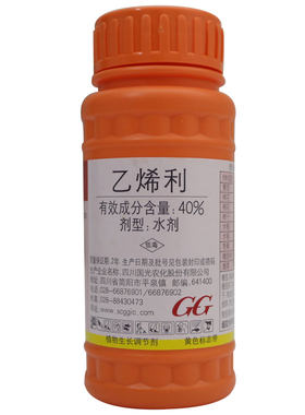 国光乙烯利水果催熟剂