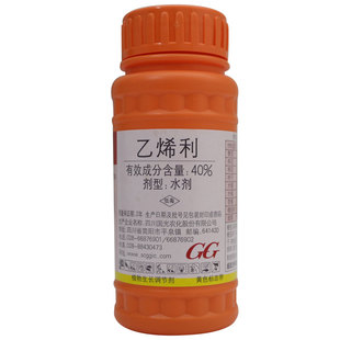 国光乙烯剂乙烯利乙稀利芒果香蕉西红柿水果催熟剂去青皮药鲜核桃