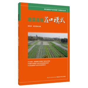 蔬菜高效茬口模式