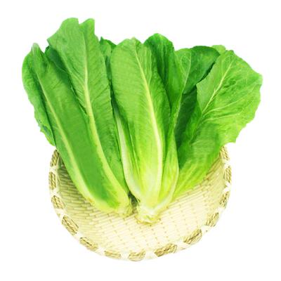 绿食者散叶罗纹凯撒沙拉新鲜蔬菜