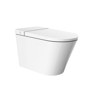 AXENT瑞士恩仕G1纯平虹吸式马桶恒温即热智能清洗一体机坐便器