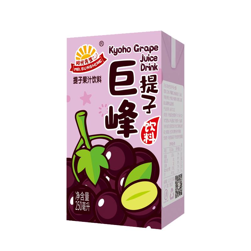 阳光先生葡萄汁饮料巨峰提子果汁整箱夏日畅饮网红聚会野餐囤货