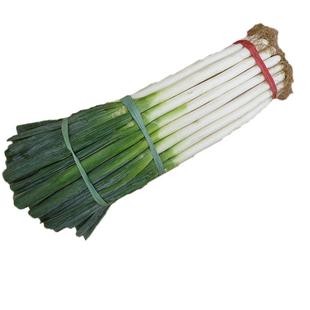 山东大葱新鲜铁杆大葱5斤10斤蔬菜安丘非章丘大葱卷饼大葱包邮