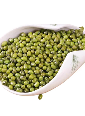 绿豆新货农家新鲜小绿豆发豆芽煮粥汤易沙新豆子