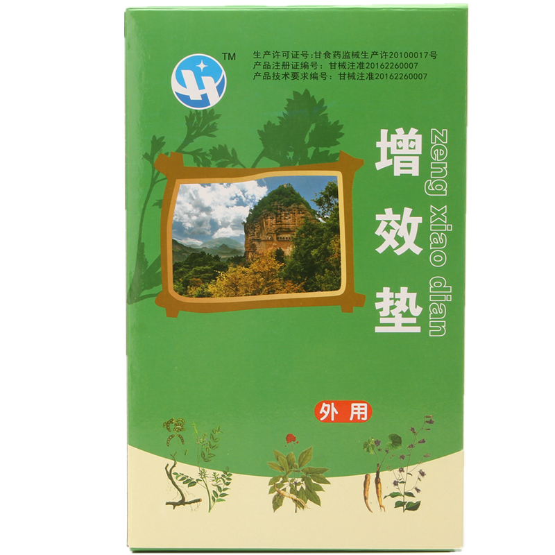 家用鑫华盛治疗仪通用增效垫