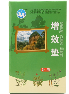 家用鑫华盛治疗仪通用增效垫