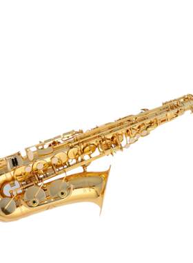 中音萨克斯降E调儿童初学成人考级演奏 Alto saxophone
