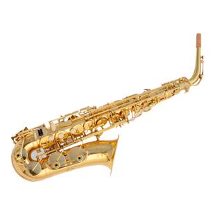 中音萨克斯降E调儿童初学成人考级演奏 Alto saxophone