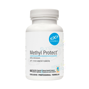 甲基化保护胶囊Methyl Protect赛墨金xymogen降同型活性叶酸60粒