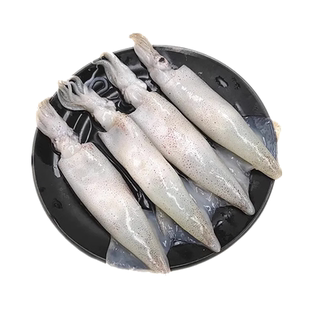 满籽笔管鱼带籽海兔全籽籽乌新鲜海捕船冻锁鲜墨鱼仔火锅烧烤商用