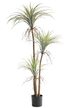 仿真丝兰树盆栽绿植造景热带植物