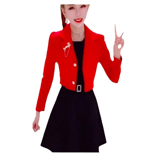 小个子网红套装女2026春秋新款修身显瘦长袖短款上衣连衣裙两件套