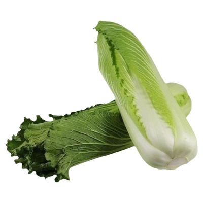 贵州农家食用新鲜蔬菜青口白包邮