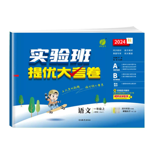 实验班提优大考卷一年级下册二年级三四五六年级上册语文数学英语人教版北师大苏教试卷测试卷全套同步训练卷子培优电子版