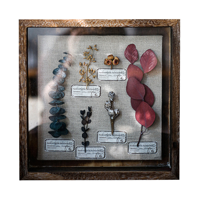 时间的痕迹复古植物标本画