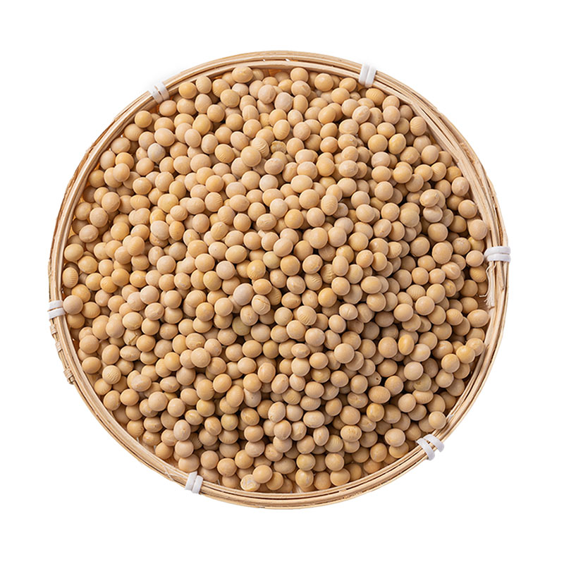 2025年新黄豆250g袋装五谷杂粮农家种老品种生豆芽打豆浆豆子尝鲜