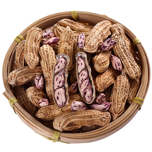 新货云南七彩花生农家原味七彩野地生花生种子带壳500g非红皮包邮