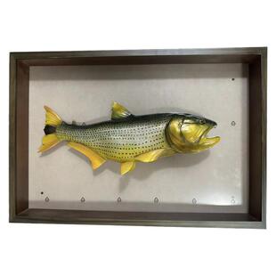 【定制】黄金河虎加拉辛地包天猛鱼装饰画立体工艺品GK雕塑 1:1