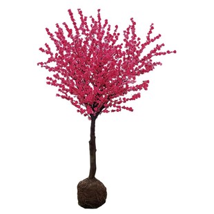 高杆红梅花树苗原生骨里红小苗庭院大型耐寒绿化风景树盆栽绿梅苗