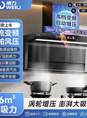 威力抽油烟机家用大吸力顶侧双吸自动清洗一级能效变频吸油烟机