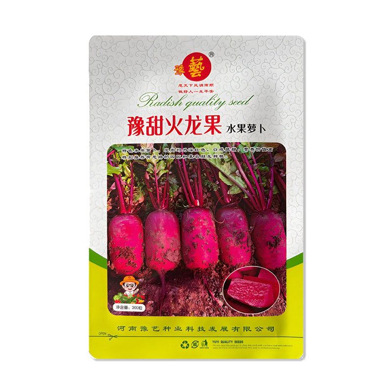 豫艺豫甜火龙果萝卜种子
