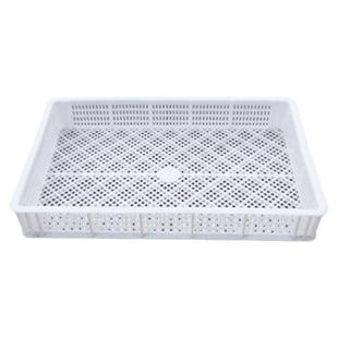 枸杞晾晒筐茶叶烘干托盘冷冻盘速冻框海参晾晒筛塑料单冻器烘干盘