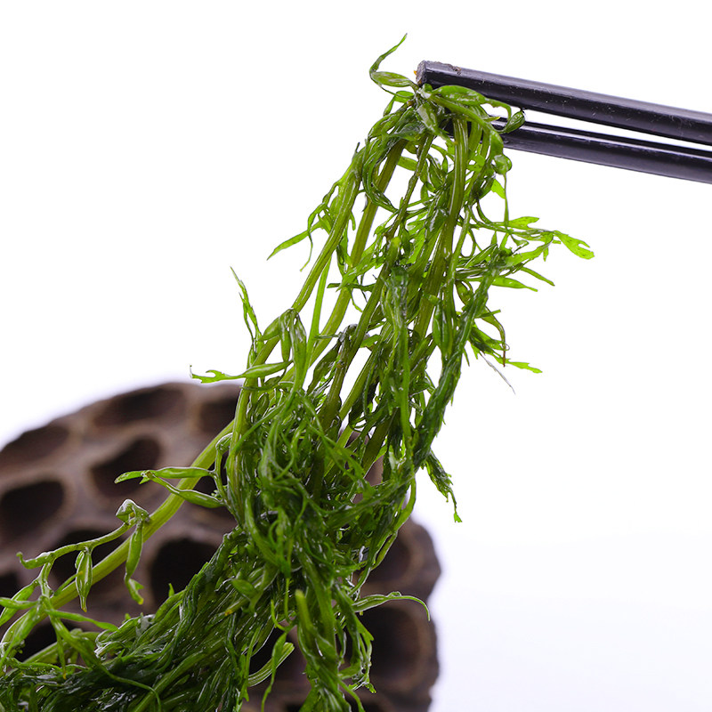 海藻5斤盐渍马尾藻羊栖菜即食海草鞭炮笋裙带菜凉拌火锅包邮
