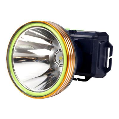 X6亿尔登强光大光斑钓鱼野外